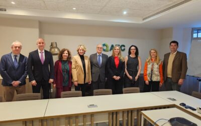 La nueva Junta Directiva de la Asociación Española para la Calidad, AEC, toma posesión de sus cargos en la sesión celebrada el 23 de enero de 2024, en su sede corporativa de Madrid